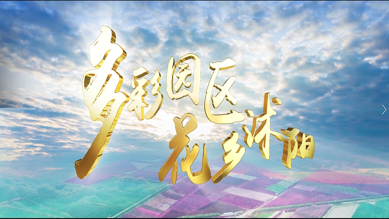維影傳媒與江蘇省沭陽縣合作，推出全新宣傳片